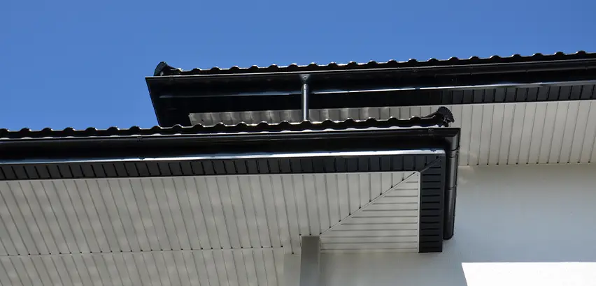 Roof Overhang Repair in Mercer Island